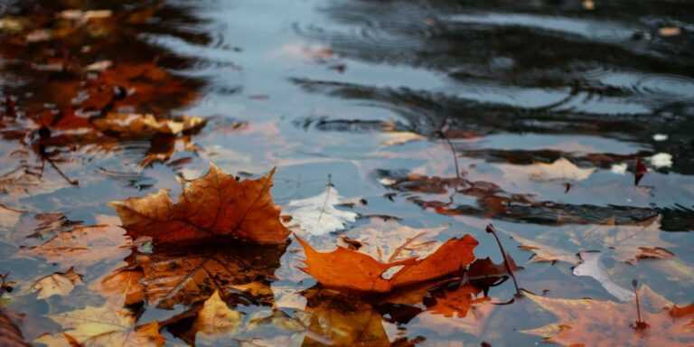 Καιρός: Eπιστροφή σε φθινοπωρινές θερμοκρασίες με βροχές προβλέπουν οι μετεωρολόγοι για αυτήν την εβδομάδα.