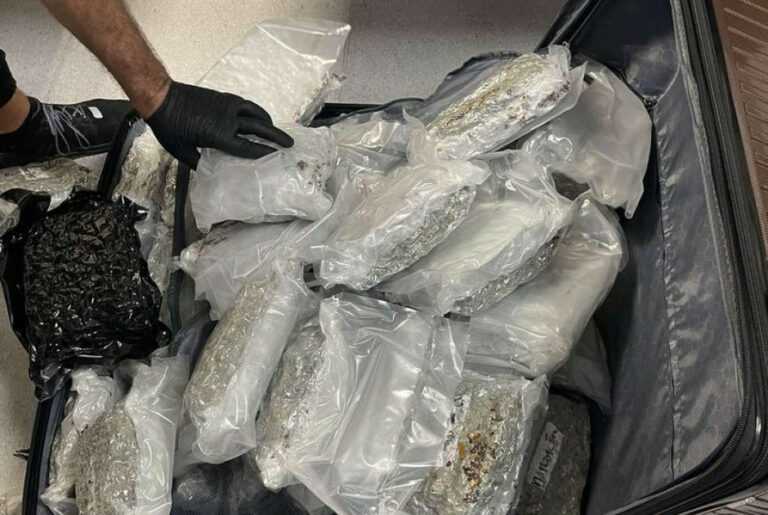 Ιωάννινα: “Λαβράκι” έβγαλε το μπλόκο της ΕΛΑΣ σε ταξί – Κατασχέθηκαν 82 κιλά κάνναβη