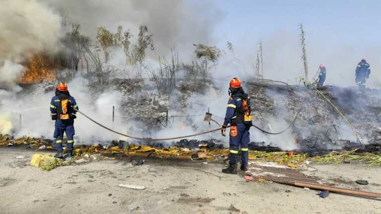 Αναδάσωση στη Φιλιππιάδα: Προστασία και Αποκατάσταση της Δασικής Έκτασης 43,775 Στρεμμάτων στην Γέφυρα Καλογήρου