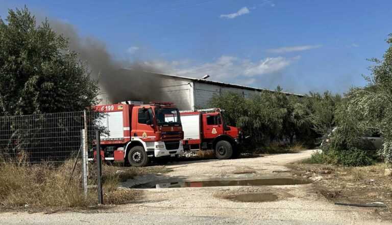 Ράχη Άρτας: Φωτιά σε πτηνοτροφείο – Επιχειρούν δύο πυροσβεστικά οχήματα με έξι πυροσβέστες