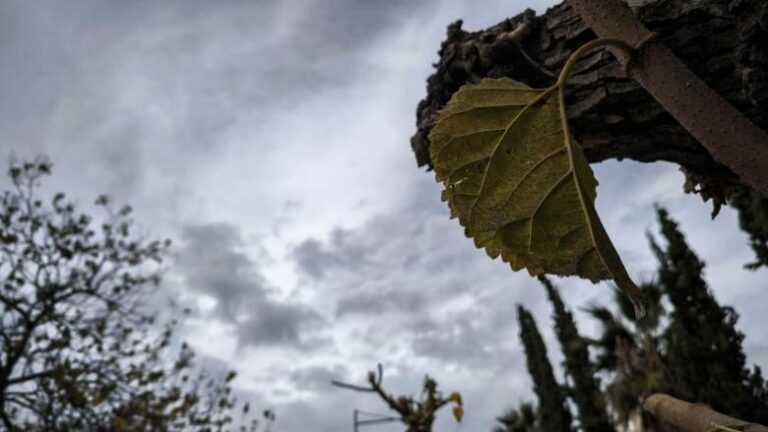 Πρόγνωση καιρού: Βαθμιαία περιορίζονται οι βροχές και εξασθενούν οι νοτιάδες
