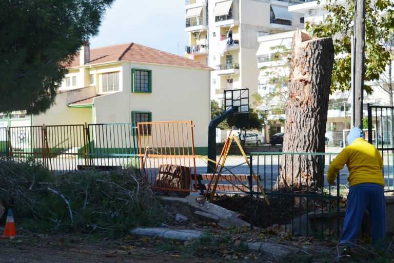 Tην απομάκρυνση ξερών και επικίνδυνων δέντρων από σχολικές μονάδες του Δήμου Πρέβεζας ενέκρινε η Δημοτική Επιτροπή