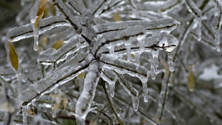Παγετός και νέα ψυχρή εισβολή αναμένονται τις επόμενες ημέρες