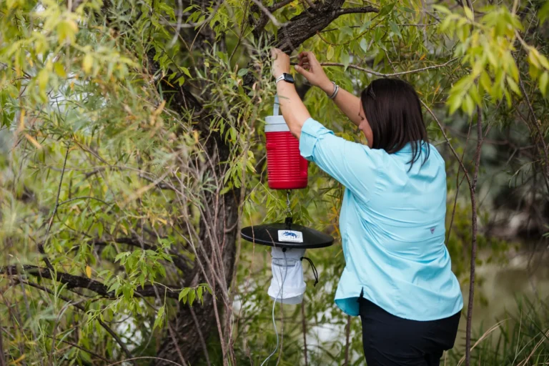 Συνεχίζεται και φέτος το  Πρόγραμμα εντομολογικής παρατήρησης στην Ήπειρο για τον έλεγχο νόσων από κουνούπια