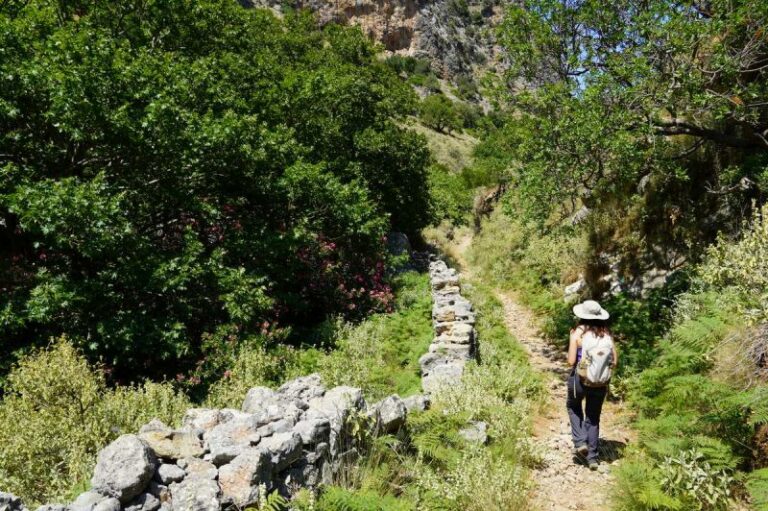 Νέα πνοή για τον εναλλακτικό τουρισμό στον Δήμο Ηγουμενίτσας: Έργο βελτίωσης μονοπατιών εντάχθηκε στο εθνικό πρόγραμμα