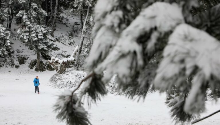 Καιρός: Αναμένονται χιόνια και ψύχος τις επόμενες ημέρες.