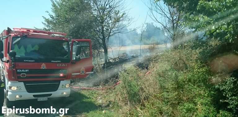 Φωτιά σε αγροτοδασική περιοχή στην Πρέβεζα