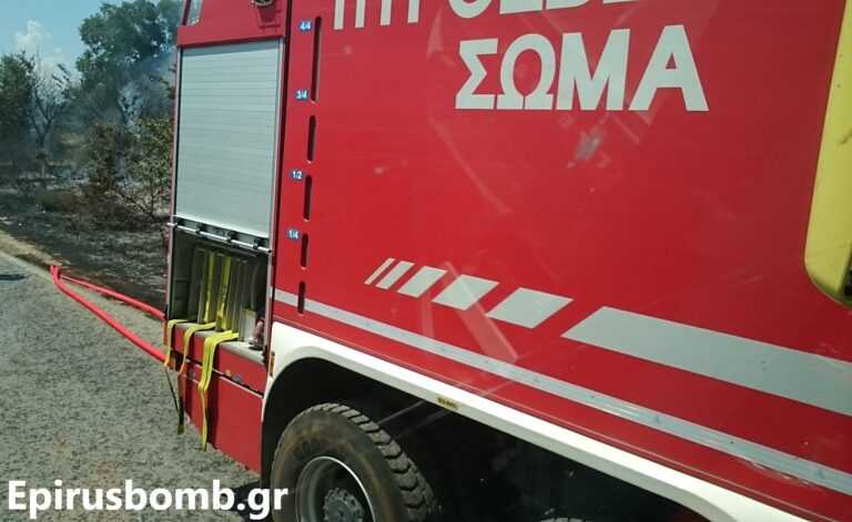 Διοικητικό πρόστιμο 1.690 ευρώ σε συνταξιούχο γυναίκα για την πυρκαγιά στην Τοπική Κοινότητα Μύτικα Πρέβεζας