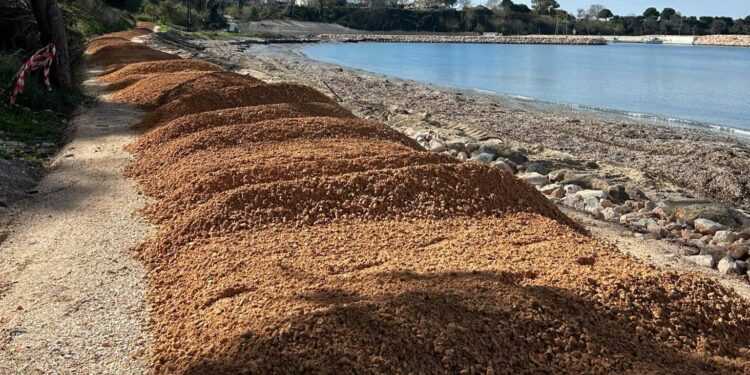 Πρέβεζα: Ο ποδηλατόδρομος απομακρύνεται από το Μονολίθι μετά από διαμαρτυρίες