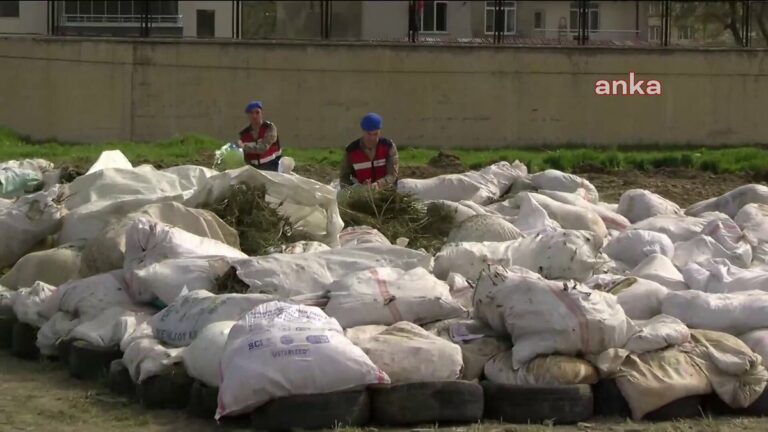 Χαμός στην Τουρκία: Ολόκληρη πόλη σε… νιρβάνα μετά από καύση 20 τόνων κάνναβης