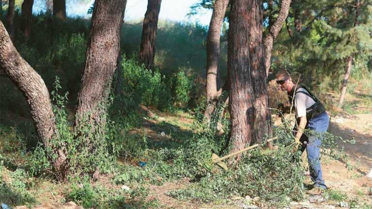 Χιλιάδες Οικόπεδα Ακαθάριστα στα Ιωάννινα – Μόνο 300 Καθαρισμοί – Έρχονται Πρόστιμα-Φωτιά!