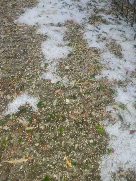 Σφοδρή χαλαζόπτωση στην Άνω Πέτρα Άρτας – Μεγάλες ζημιές στις καλλιέργειες