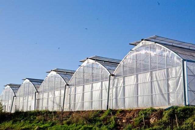 6 εκατ. ευρώ για θερμοκήπια στην Ήπειρο – Ευκαιρία για τους παραγωγούς
