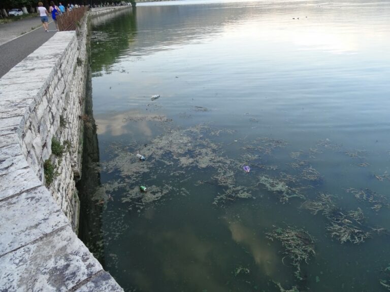 Άνυδρη Παμβώτιδα: Στερεύει η λίμνη, στερεύει και η αγροτική παραγωγή