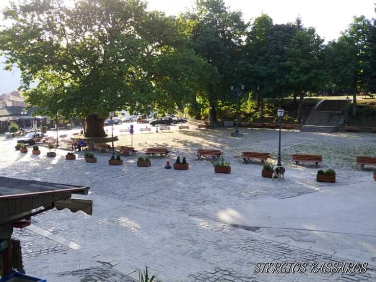 Συμφωνία ΥΠΕΝ – Δήμου Μετσόβου: Νέα εποχή για τα αγροτικά απόβλητα