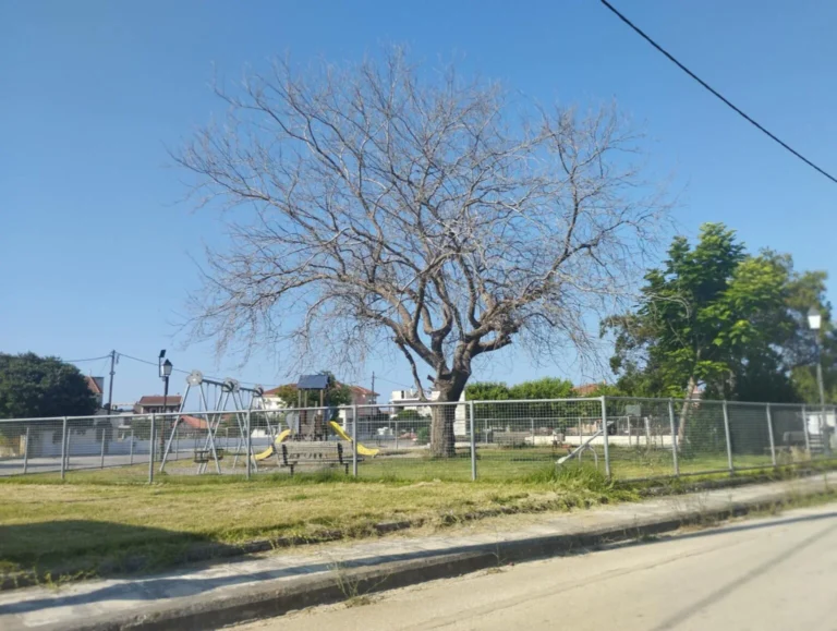 Σκληρή κριτική για την εγκατάλειψη του Μύτικα από την παράταξη “Ανάπτυξη Τώρα” – «Δεν αξίζει αυτή η εικόνα στον τόπο μας»