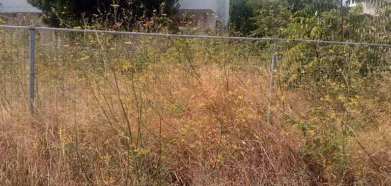 Τελευταία ευκαιρία: Οι δηλώσεις για ακαθάριστα οικόπεδα κλείνουν στις 15 Ιουνίου