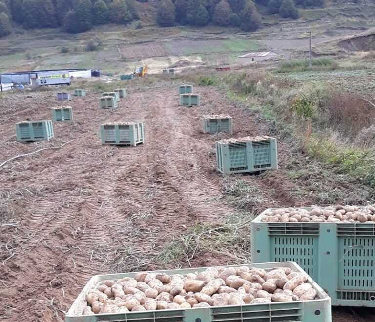 Χρυσοβίτσα: Στο στόχαστρο της τοπικής κοινωνίας η εξορυκτική δραστηριότητα στο δάσος – Σε κατάσταση συναγερμού οι κάτοικοι