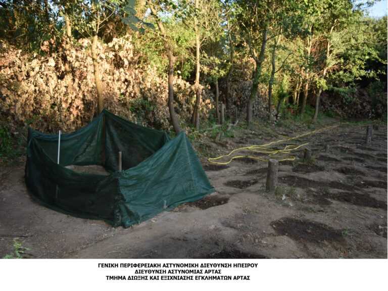 Πολύδροσο Άρτας: Μέλη εγκληματικής ομάδας καλλιεργούσαν δενδρύλλια κάνναβης