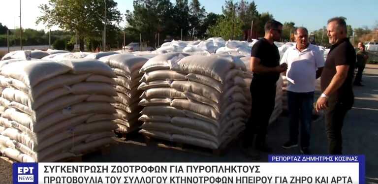 Πρέβεζα: Ο Σύλλογος Κτηνοτρόφων Ηπείρου δίπλα στους συναδέλφους που επλήγησαν από τις φωτιές