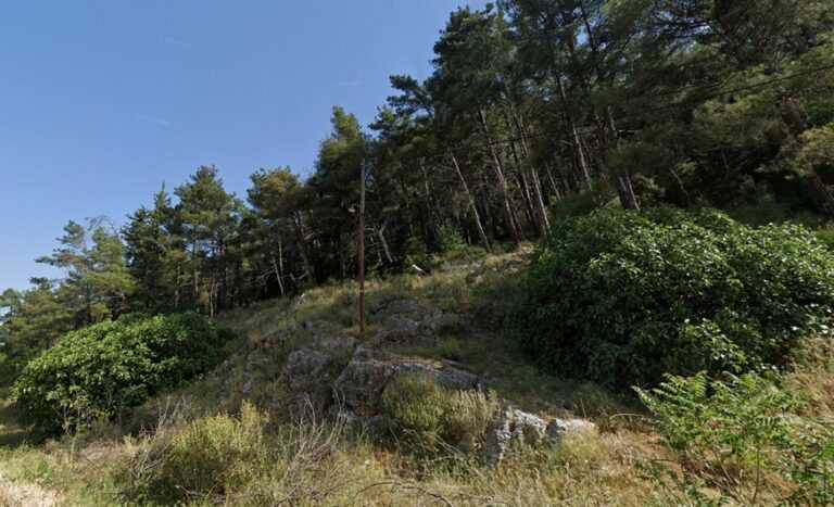 Νέος καθαρισμός δασικής έκτασης στη Ντραμπάτοβα από τον Δήμο Ιωαννιτών