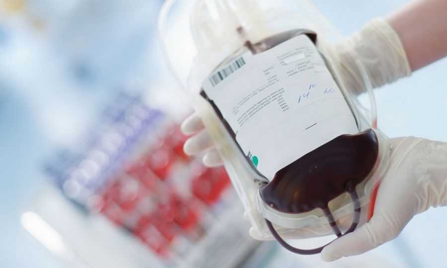 Έκκληση για αιμοδοσία: Ο 17χρονος Χρήστος Μπαλάφας από την Πάργα νοσηλεύεται στα Ιωάννινα