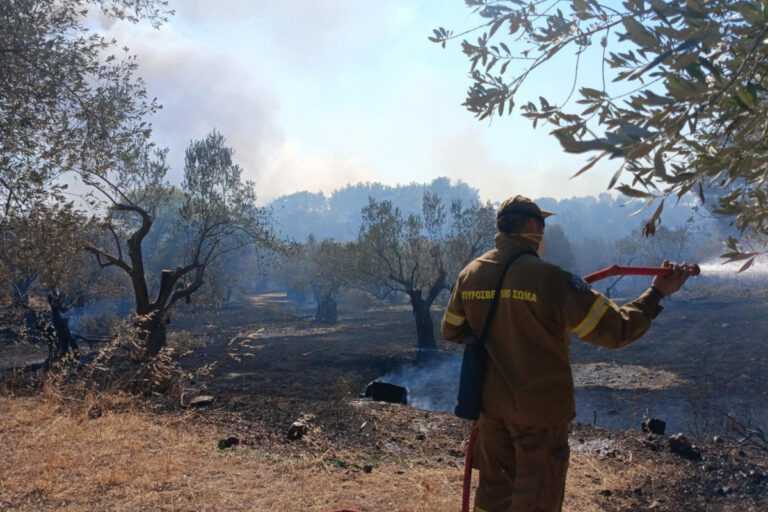 Φωτιά στη νότια Λέσβο: Οι ισχυροί άνεμοι δυσκολεύουν την κατάσβεση – Ξύπνησαν οι εφιάλτες του 2022