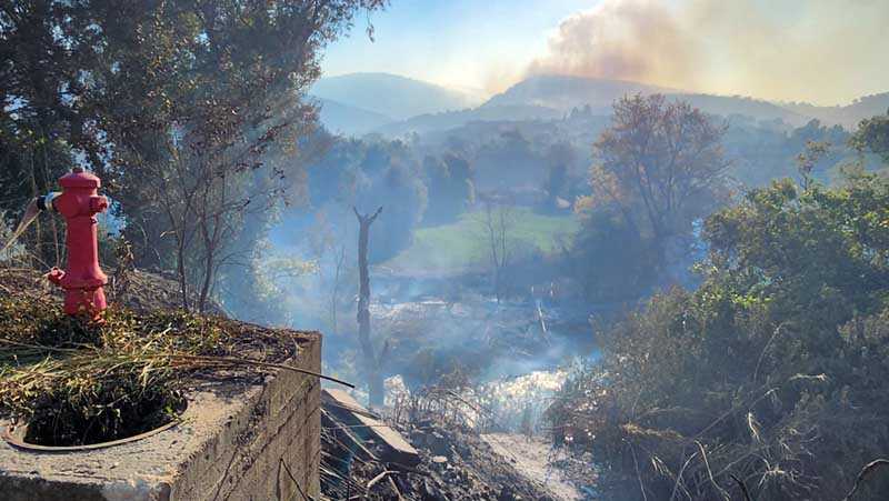 «Ζηρό και Άρτα μετράνε τις πληγές – 500.000 ευρώ για πρόχειρα ποιμνιοστάσια και αποκατάσταση»