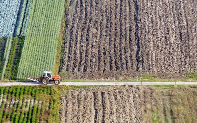 Ένωση Αγροτών: Παράταση έως 20 Οκτωβρίου για τις δηλώσεις ΑΤΑΚ – Τι ισχύει για μικρά και μεγάλα αγροτεμάχια