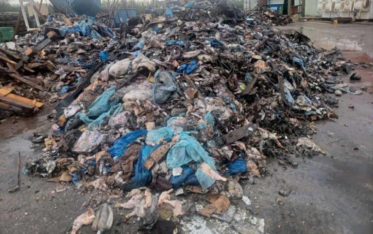 Περιβαλλοντικό θρίλερ με ανατροπή στη Φιλιππιάδα: Η μεταφορά ζωικών αποβλήτων από την Κέρκυρα ήταν αδειοδοτημένη από το Υπουργείο Αγροτικής Ανάπτυξης