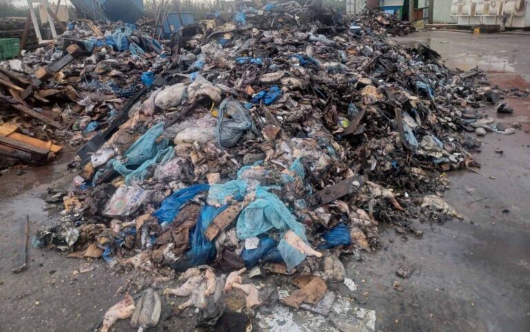 Οι πρώτες συλλήψεις για το περιβαλλοντικό έγκλημα στη Γέφυρα Καλογήρου Πρέβεζας – Τόνοι αποβλήτων από την Κέρκυρα