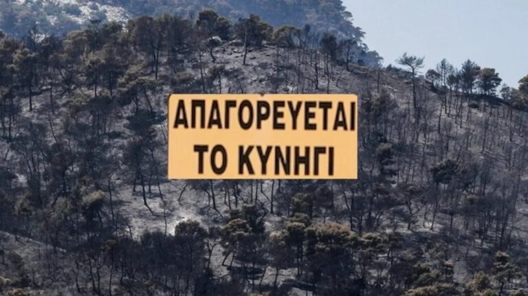 Δήμος Ζηρού: Τριετής απαγόρευση θήρας σε πυρόπληκτες περιοχές – Απόφαση της Διεύθυνσης Δασών Πρέβεζας