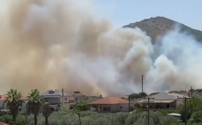 Θεσπρωτία: Στεγαστική ενίσχυση 100% για τους πυρόπληκτους κατοίκους της Δημοτικής Κοινότητας Σκανδάλου