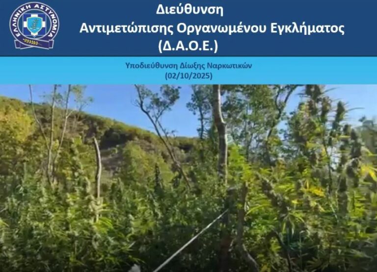 Ιωάννινα: Βαρύ το κλίμα στην Αστυνομική Διεύθυνση μετά το «χτύπημα» των Αθηναίων για την μεγαλύτερη χασισοφυτεία των τελευταίων ετών
