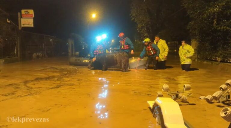Φιλιππιάδα: Συγκλονιστική διάσωση αλόγου από τη Λέσχη Καταδρομέων Πρέβεζας μέσα στα λασπόνερα των πλημμυρών