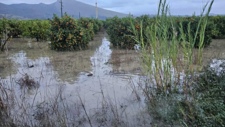 Θεσπρωτία: Καλλιέργειες βουτηγμένες στη λάσπη – Σοβαρά προβλήματα στους Φιλιάτες από τη σφοδρή κακοκαιρία