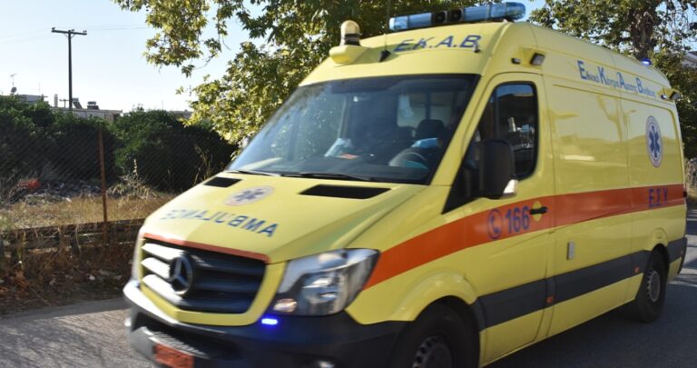 Τραγωδία στη Θεσπρωτία: Μοτοσυκλέτα συγκρούστηκε με αγριογούρουνο – Νεκρός ο οδηγός