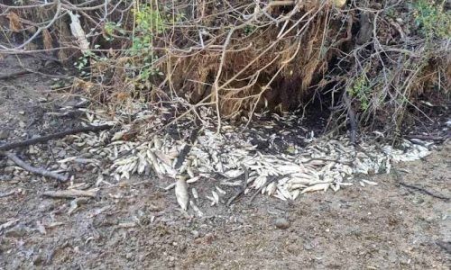 Ποταμός Λούρος: Τρία χρόνια μετά και η Δικαιοσύνη σιωπά – Παρέμβαση από τους «Ορίζοντες Ηπείρου»