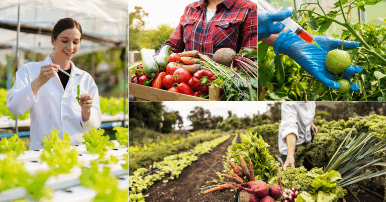 Νέα εποχή στη γεωργία: Συμφωνία στην ΕΕ για νέα γενιά γενετικά τροποποιημένων φυτών