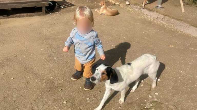 Ζάκυνθος: Σήμερα η κηδεία του 2χρονου που κατασπαράχθηκε από πίτμπουλ