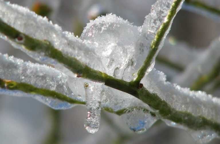 Υπό το μηδέν τα Γιάννενα: –5°C κατέγραψαν οι μετεωρολογικοί σταθμοί σε Τέροβο, Ελεούσα, Επισκοπικό και Τύρια