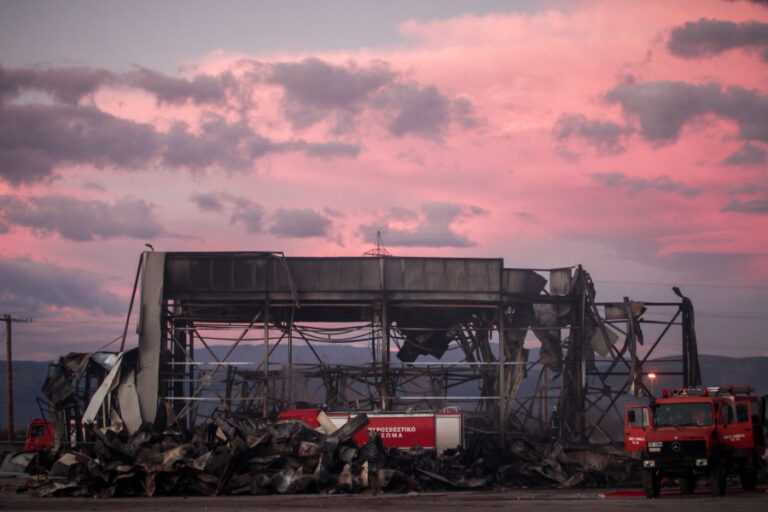 Βιολάντα: Η πρώτη άδεια του 2007 δεν έχει καμία αναφορά στο υπόγειο, «αόρατο» και στις 7 επόμενες