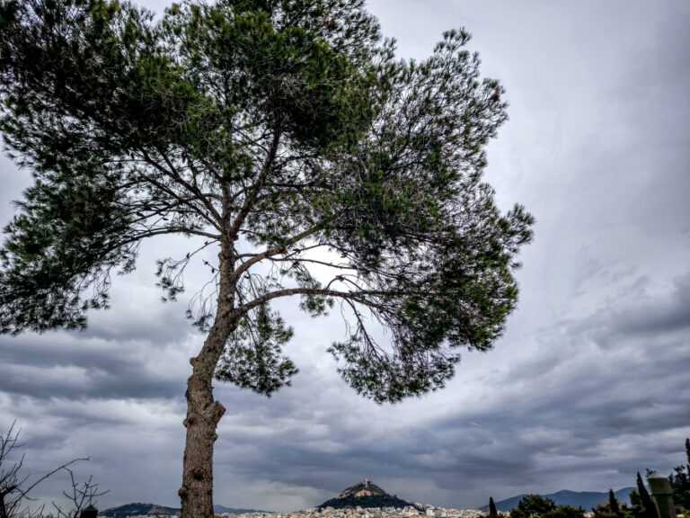 Ο καιρός σήμερα: Μικρή άνοδος της θερμοκρασίας, πού υπάρχει πιθανότητα βροχής