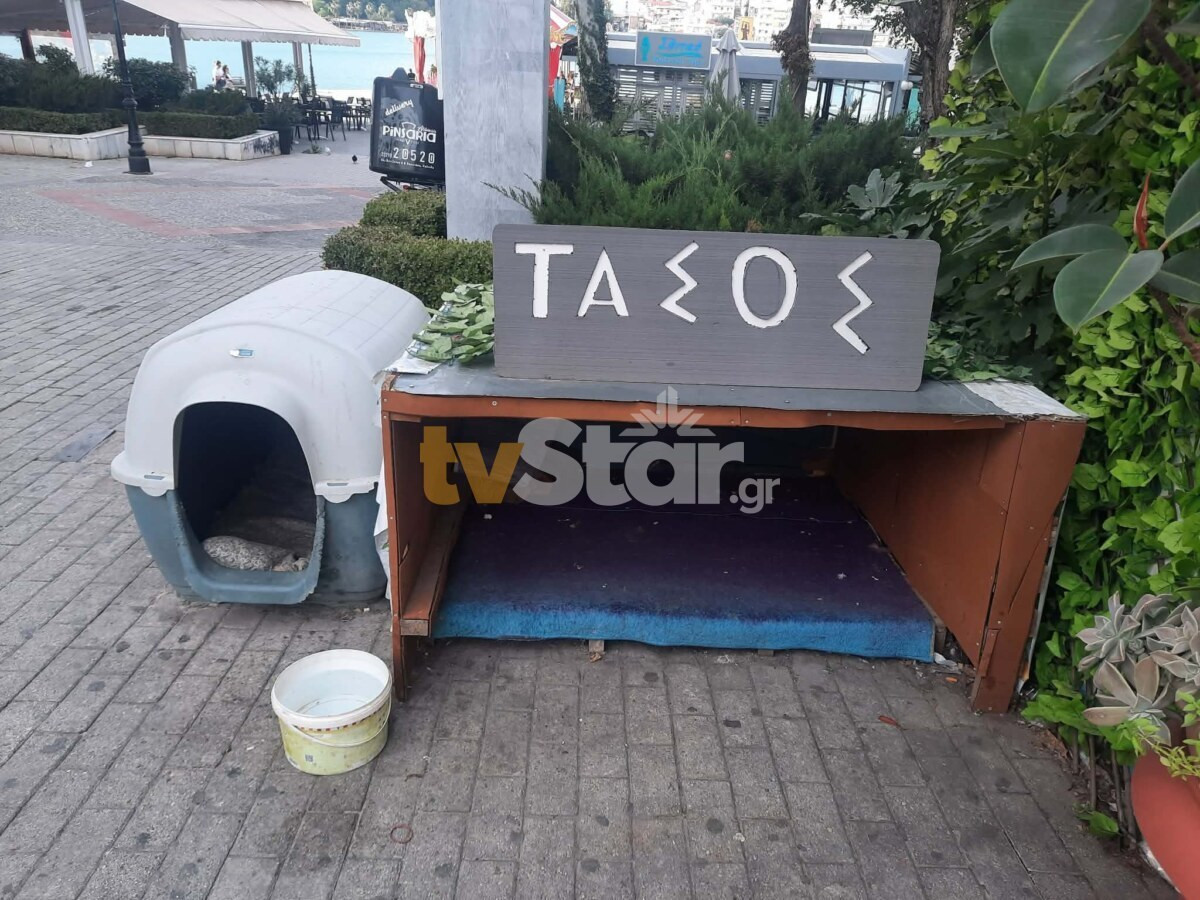 202602021423585272 8fb1f