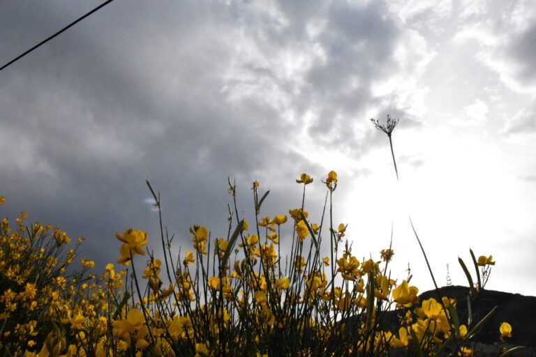 Κλέαρχος Μαρουσάκης: Έρχονται λασποβροχές, παίρνουμε μία «ανάσα» και ξανά νέα κακοκαιρία