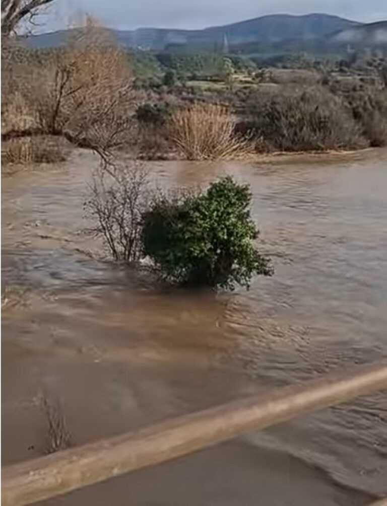 Ηλεία: Αυξημένη στάθμη στον Αλφειό (video) – Σε κατάσταση ετοιμότητας ο Δ. Αρχαίας Ολυμπίας για μεγάλο όγκο νερού