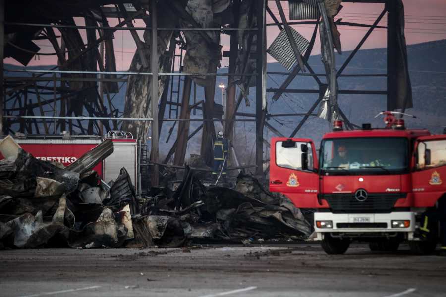 Βιολάντα: «Να λες ότι η μυρωδιά είναι από τους βόθρους» - Οι δικηγόροι του ιδιοκτήτη ξεκινούν ενέργειες για την αποφυλάκισή του