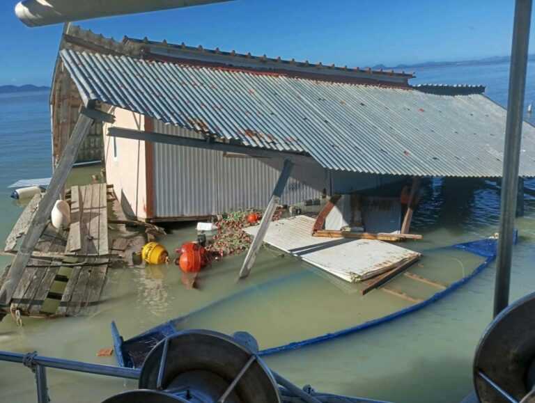 Σάρωσαν τα κύματα τη Θεσπρωτία: Πλημμύρισαν Σύβοτα και Σαγιάδα – Σοβαρές ζημιές σε καταστήματα και σπίτια