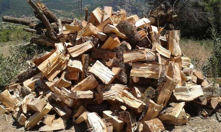 Δήμος Σουλίου: Ξεκίνησαν οι άδειες για καυσόξυλα