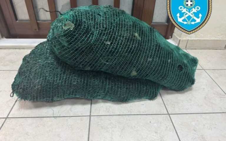 Παράνομη αλιεία στην Θεσπρωτία: 750 αχινοί κατασχέθηκαν στη Σαγιάδα – Στο εδώλιο του νόμου 27χρονος